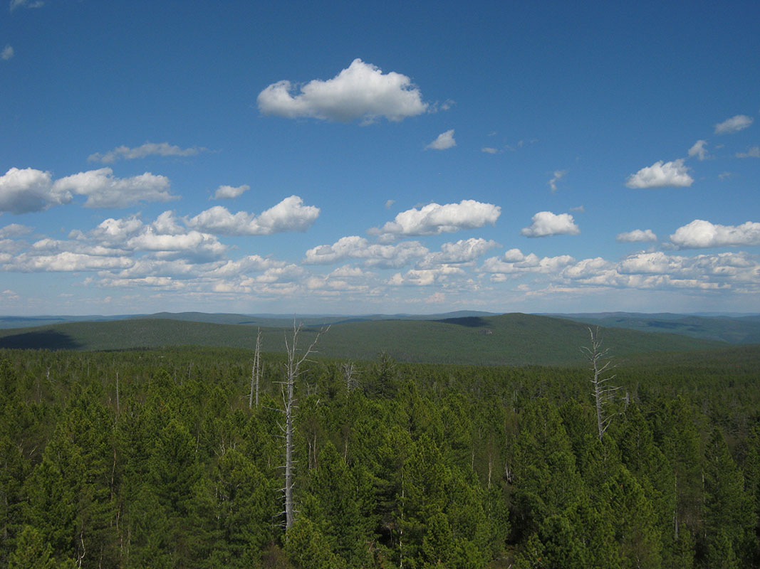 Панорама с вышки. Восток. Вершины Малханского хребта. Слева Черемховский перевал и метеостанция